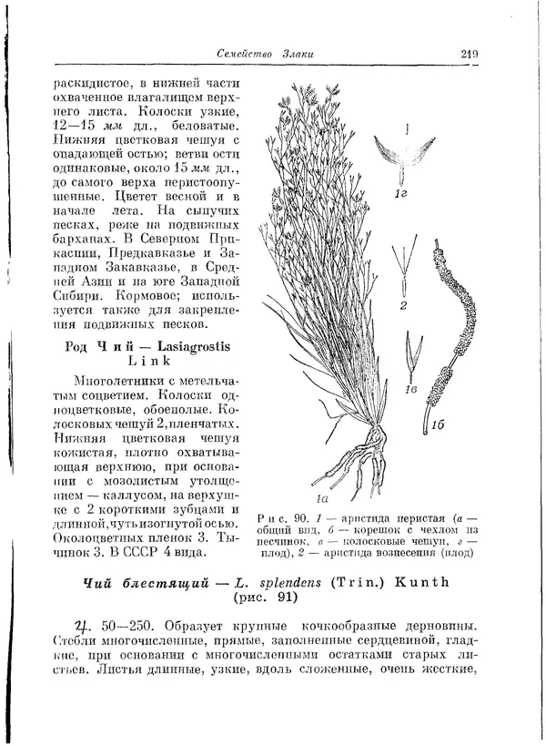  Коллектив авторов - Травянистые растения СССР. Том 1 - Страница № 219