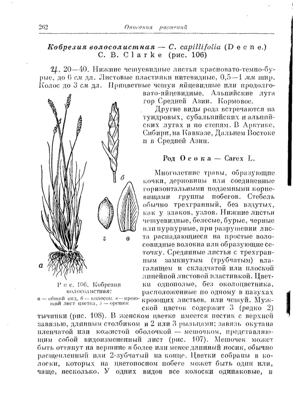  Коллектив авторов - Травянистые растения СССР. Том 1 - Страница № 262