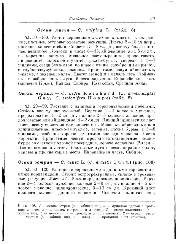  Коллектив авторов - Травянистые растения СССР. Том 1 - Страница № 267