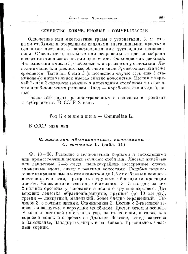  Коллектив авторов - Травянистые растения СССР. Том 1 - Страница № 281