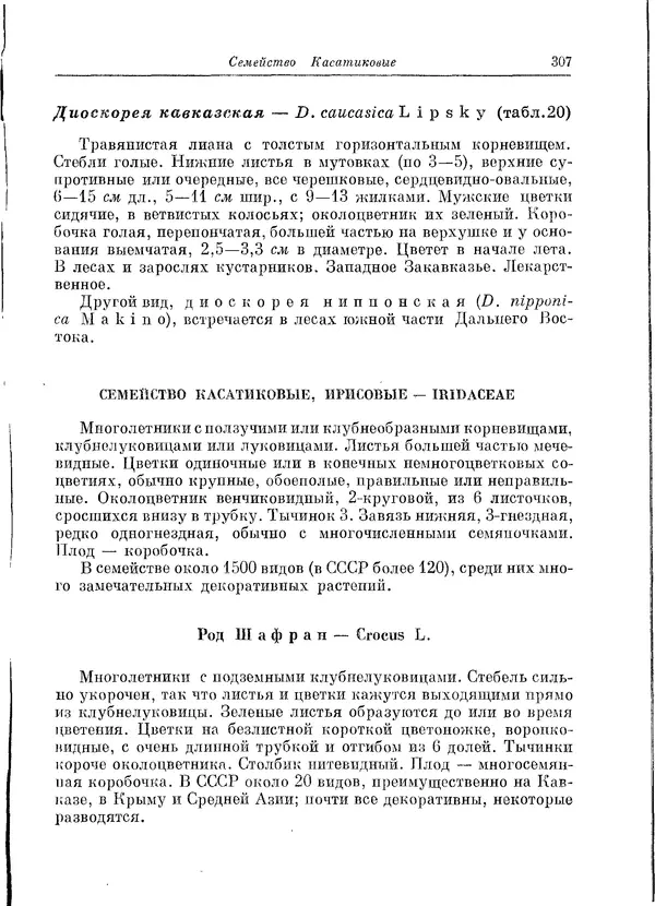  Коллектив авторов - Травянистые растения СССР. Том 1 - Страница № 307