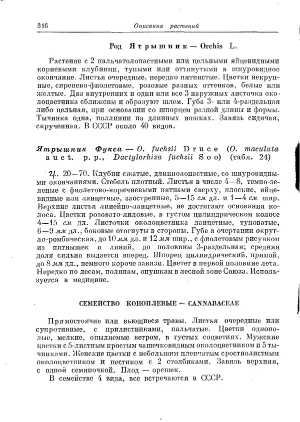  Коллектив авторов - Травянистые растения СССР. Том 1 - Страница № 316