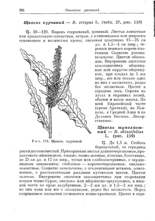  Коллектив авторов - Травянистые растения СССР. Том 1 - Страница № 324