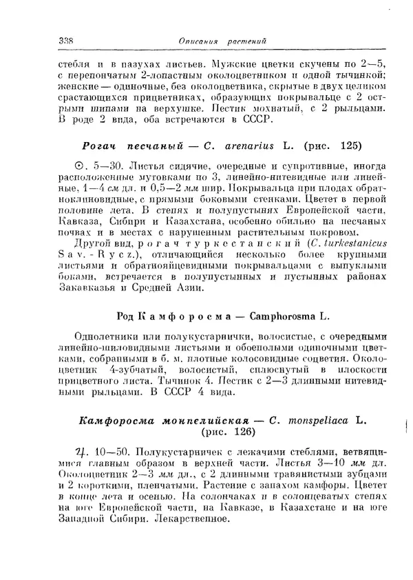  Коллектив авторов - Травянистые растения СССР. Том 1 - Страница № 338