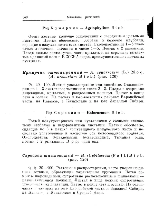  Коллектив авторов - Травянистые растения СССР. Том 1 - Страница № 340