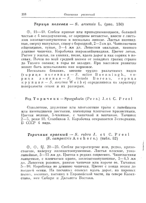  Коллектив авторов - Травянистые растения СССР. Том 1 - Страница № 358