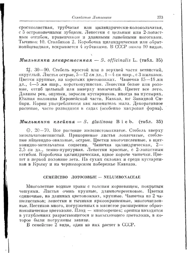  Коллектив авторов - Травянистые растения СССР. Том 1 - Страница № 373