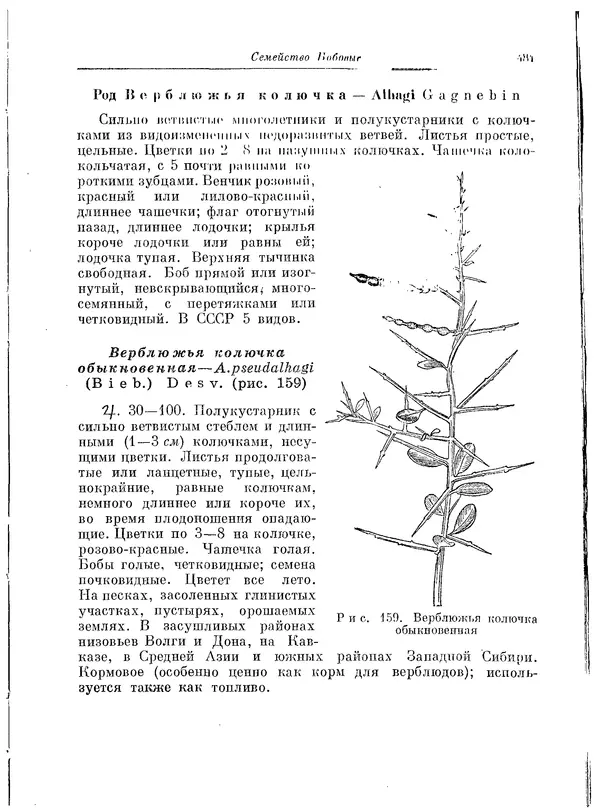  Коллектив авторов - Травянистые растения СССР. Том 1 - Страница № 481