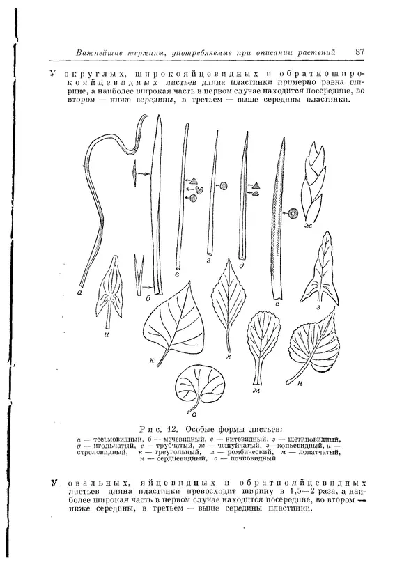  Коллектив авторов - Травянистые растения СССР. Том 1 - Страница № 87