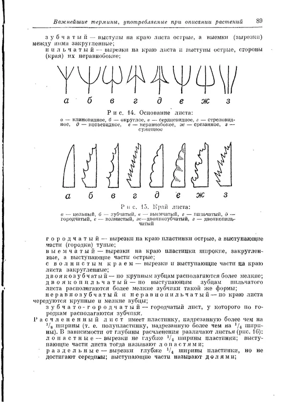  Коллектив авторов - Травянистые растения СССР. Том 1 - Страница № 89