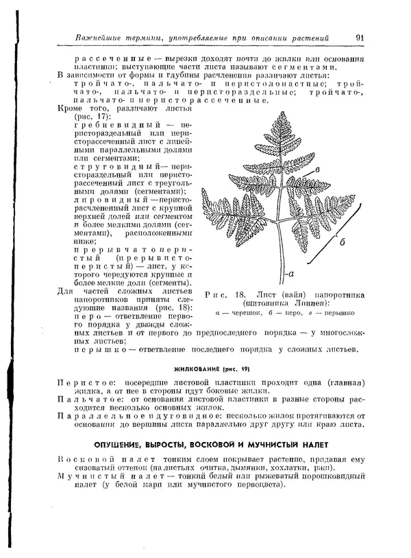  Коллектив авторов - Травянистые растения СССР. Том 1 - Страница № 91