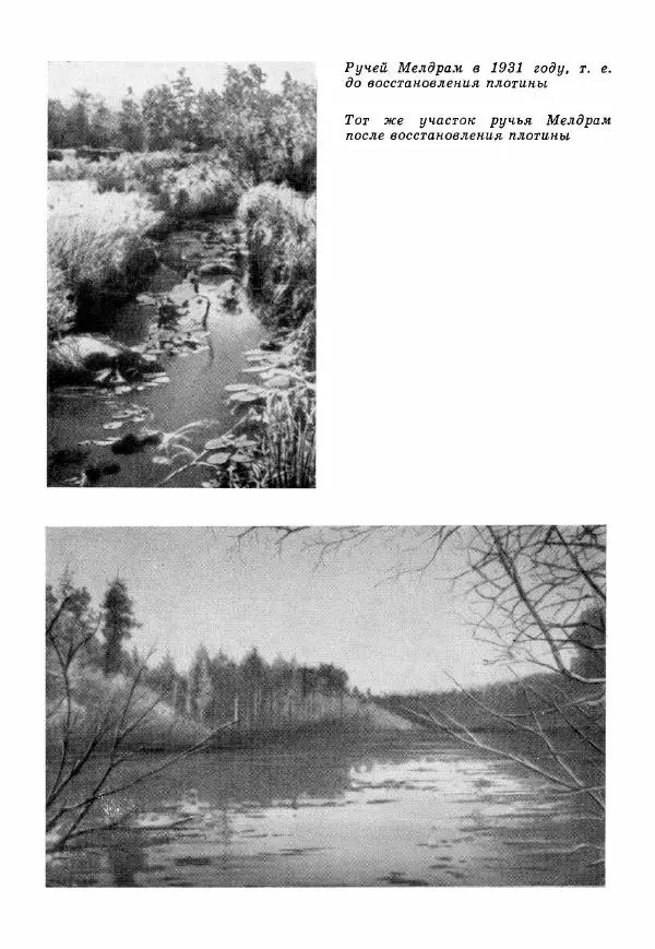 Эрик Кольер - Трое против дербрей - Страница № 132