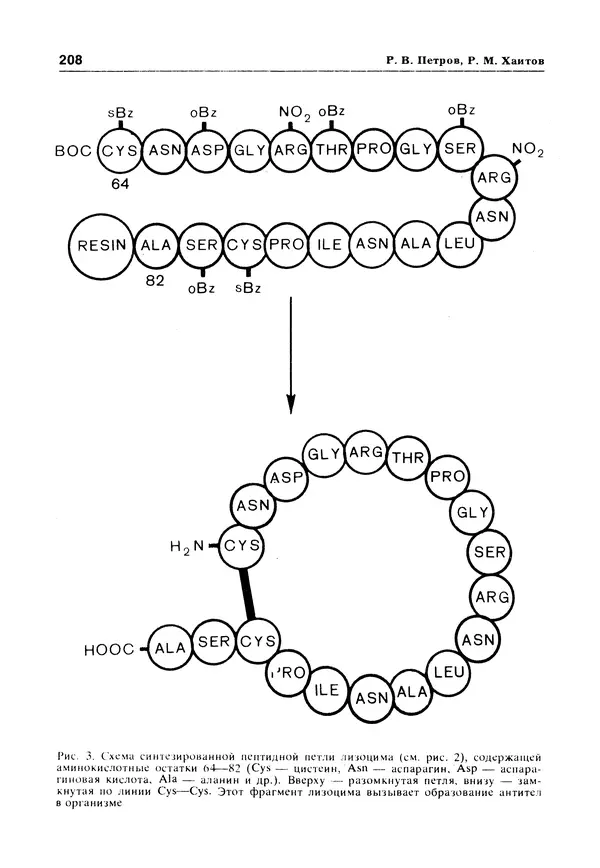 Е Этингоф - Будущее науки. Международный ежегодник. Выпуск 14 - Страница № 209