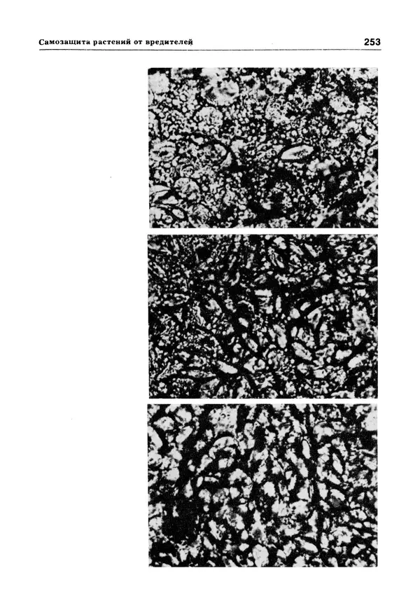 Е Этингоф - Будущее науки. Международный ежегодник. Выпуск 14 - Страница № 254