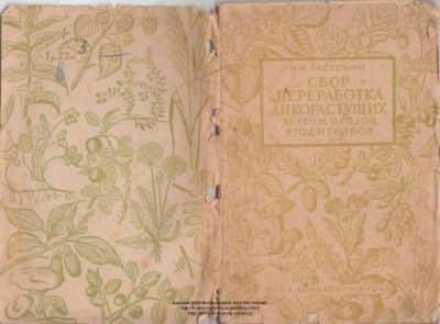 Сбор и переработка дикорастущих зелени, плодов, ягод и грибов (pdf)