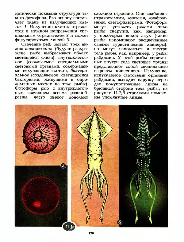 КулЛиб. Лев Васильевич Тарасов - Физика в природе. Страница № 170