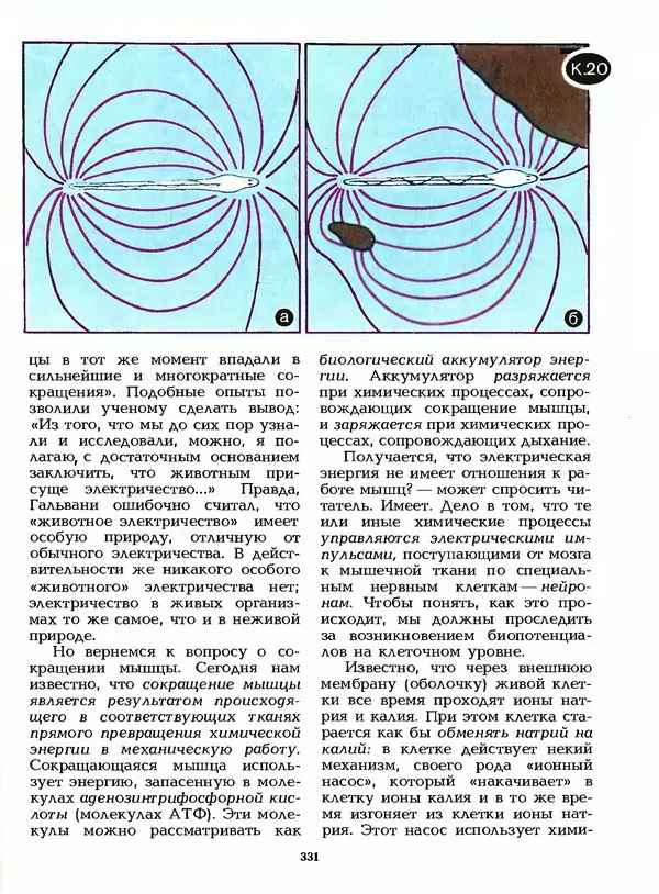 КулЛиб. Лев Васильевич Тарасов - Физика в природе. Страница № 331