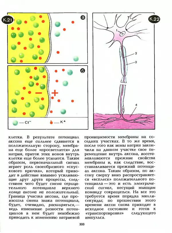 КулЛиб. Лев Васильевич Тарасов - Физика в природе. Страница № 333