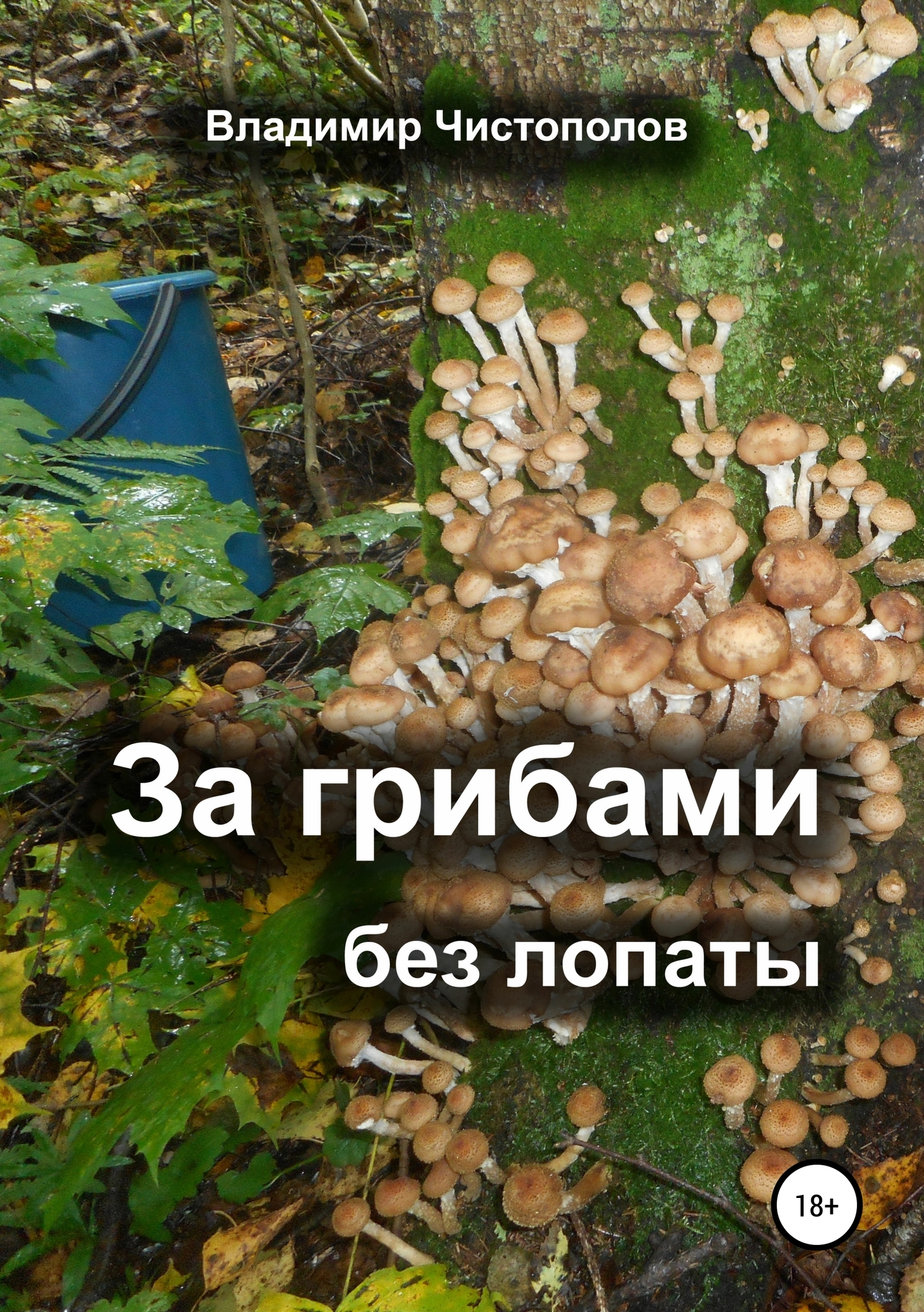 За грибами без лопаты (fb2)