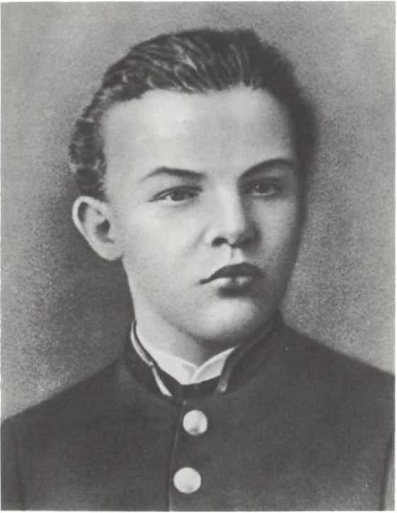 Товарищ Ленин. Композиция. Николай Некрасов. Иллюстрация 9