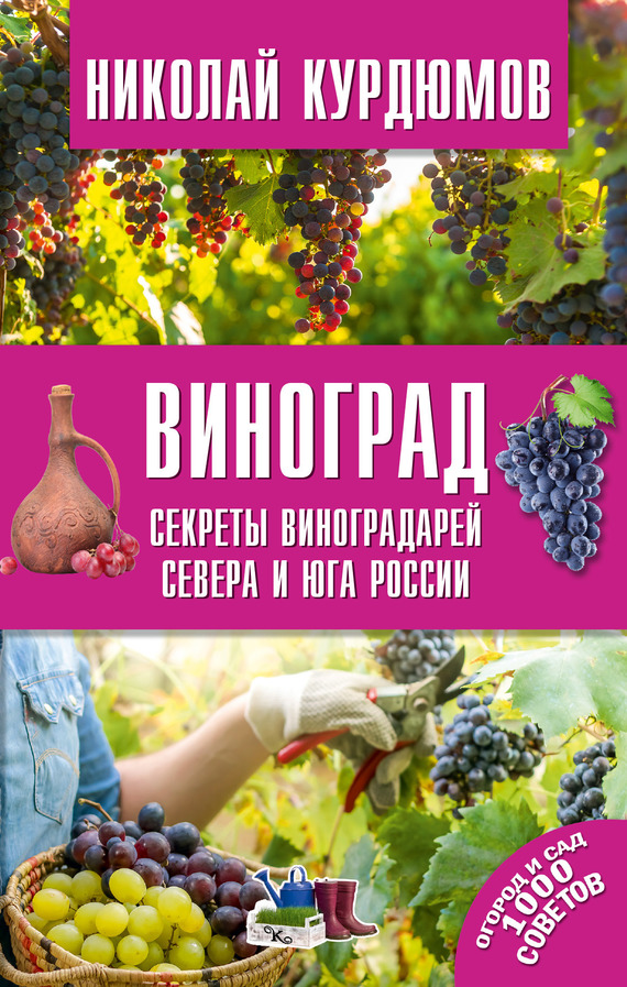 Виноград. Секреты виноградарей севера и юга России (fb2)