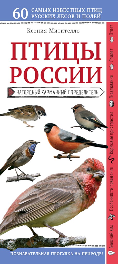 Птицы России. Наглядный карманный определитель (fb2)
