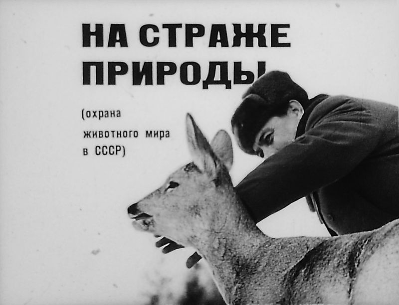 На страже природы (охрана животного мира в СССР) (pdf)