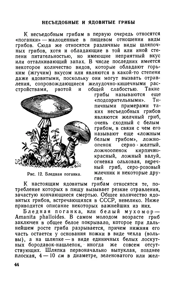 КулЛиб. Михаил Кузьмич Хохряков - Вредные и полезные грибы. Страница № 45