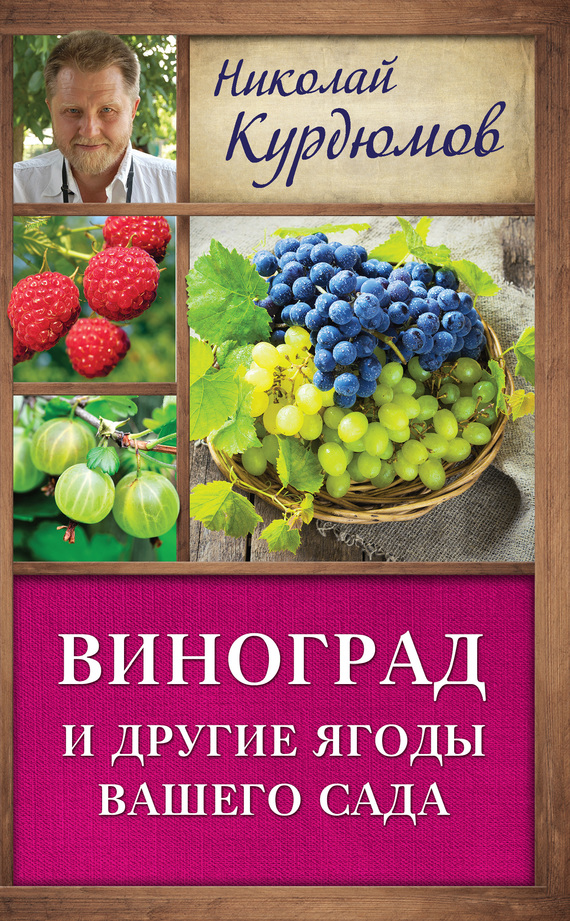 Виноград и другие ягоды вашего сада (fb2)