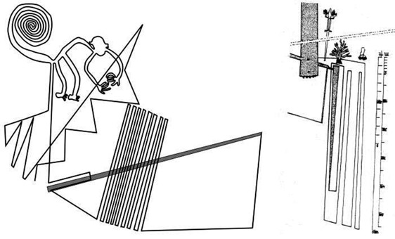 Наска: гигантские рисунки на полях. Андрей Скляров. Иллюстрация 132