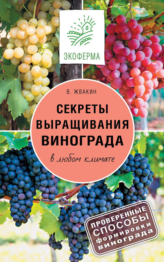 Секреты выращивания винограда в любом климате. Проверенные способы формировки винограда (fb2)