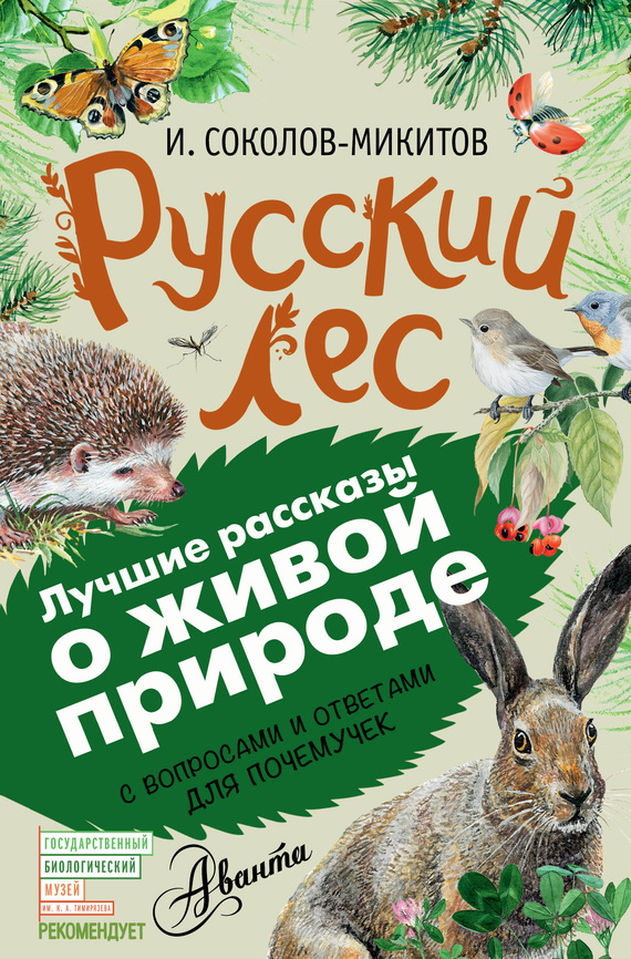 Русский лес. С вопросами и ответами для почемучек (fb2)