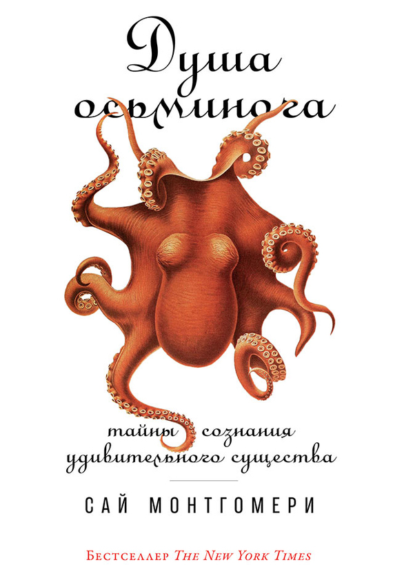 Душа осьминога. Тайны сознания удивительного существа (fb2)