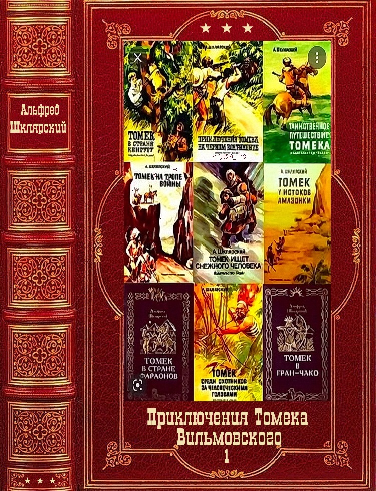  "Приключения Томека Вильмовского-1". Компиляция. кн.1-5 (fb2)