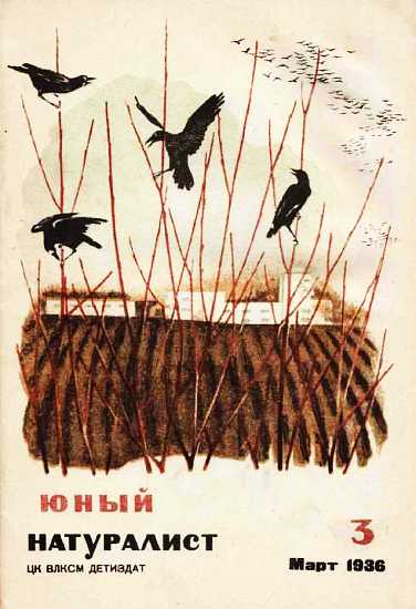 Юный натуралист 1936 №3 (fb2)