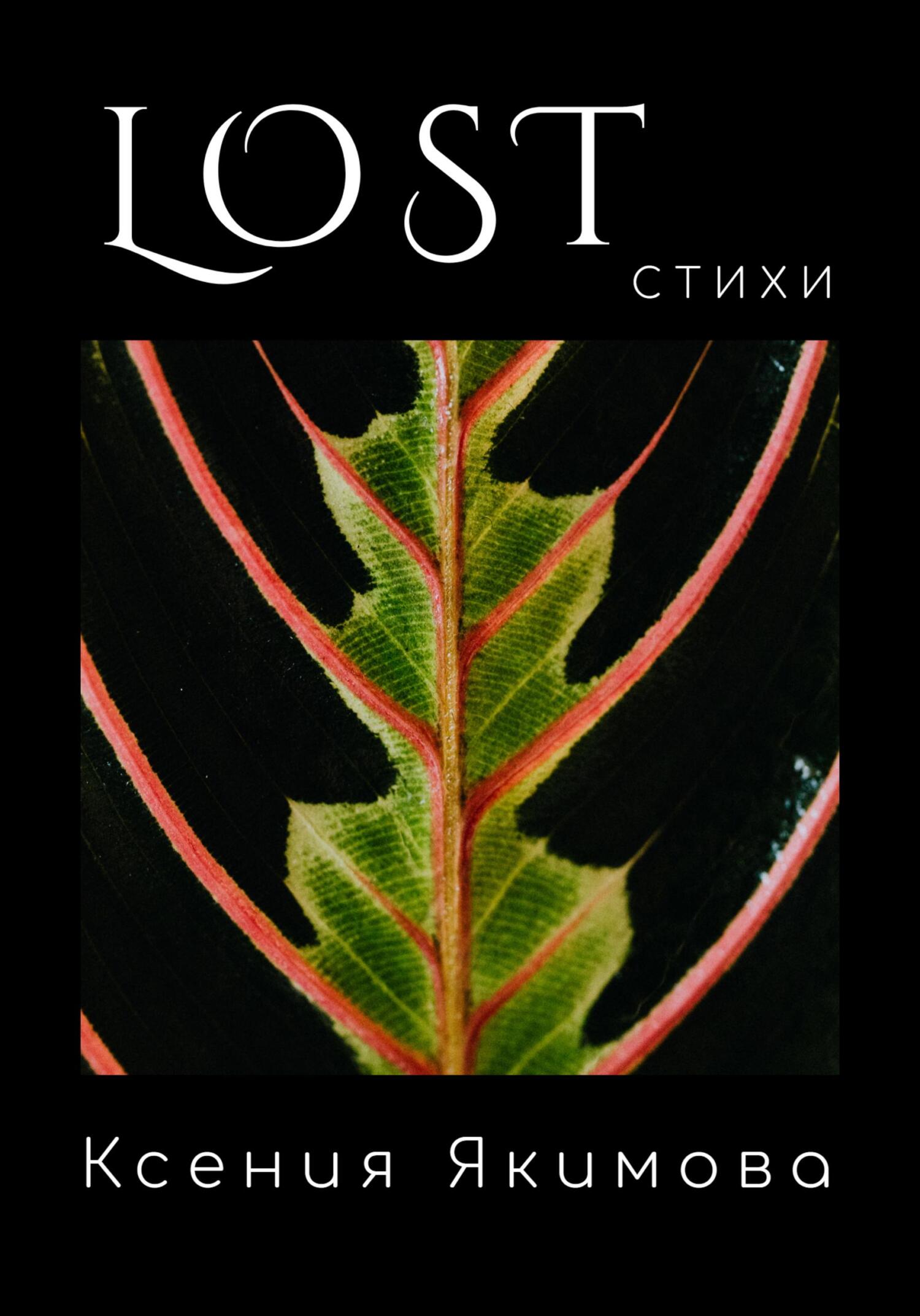 Lost. Стихи (fb2)