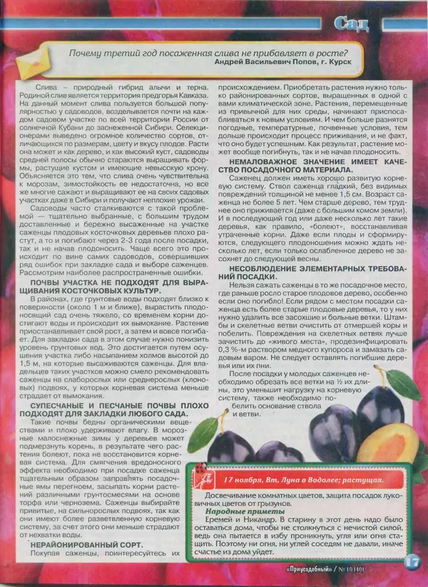 КулЛиб.   журнал Приусадебный - Приусадебный 2015 №10(40). Страница № 17