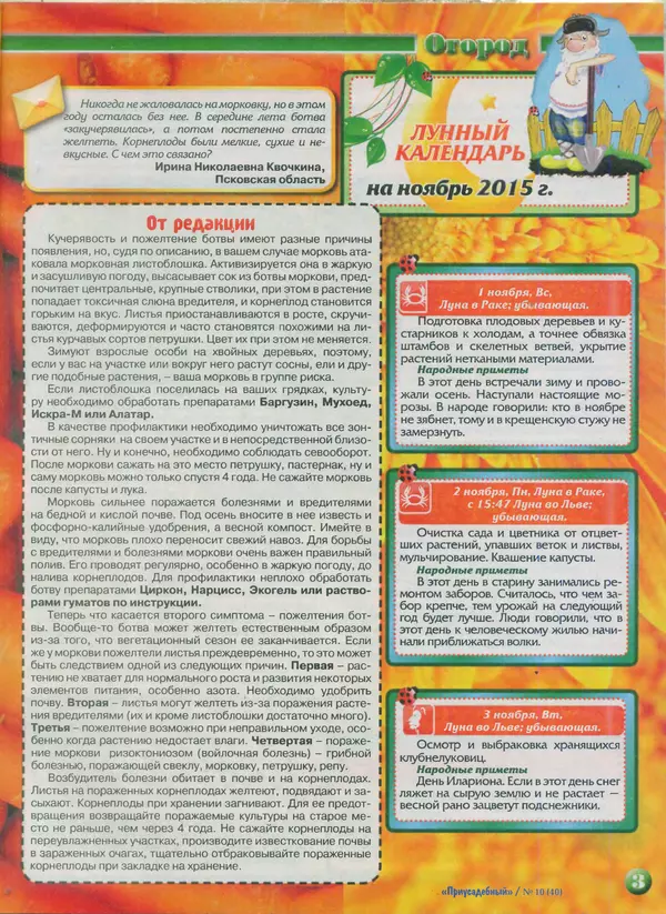 КулЛиб.   журнал Приусадебный - Приусадебный 2015 №10(40). Страница № 3