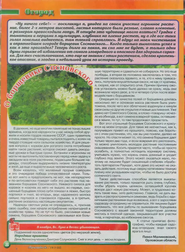 КулЛиб.   журнал Приусадебный - Приусадебный 2015 №10(40). Страница № 8
