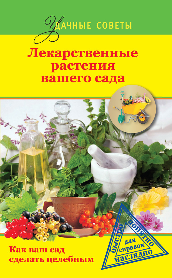 Лекарственные растения вашего сада (fb2)
