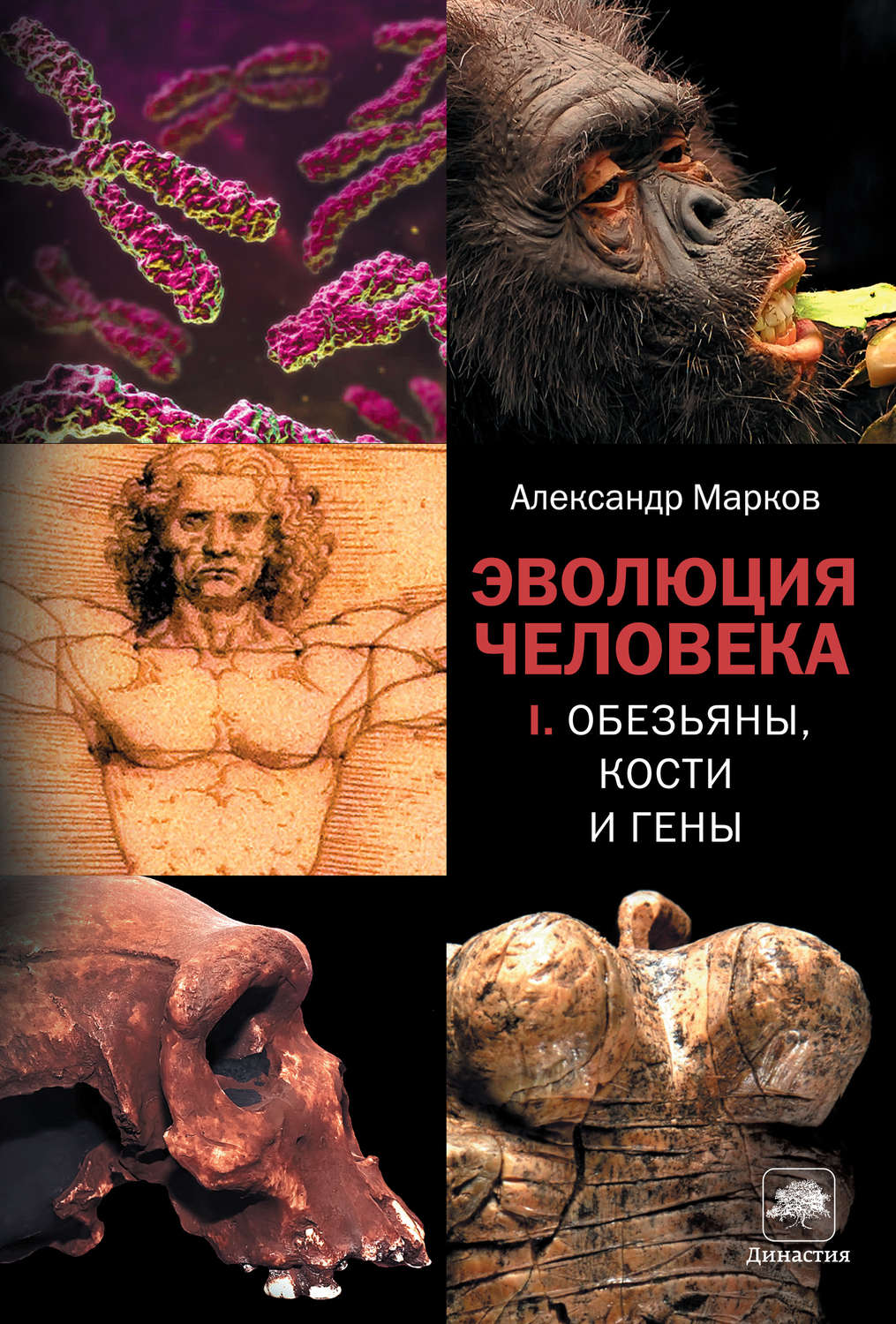 Эволюция человека. Книга I. Обезьяны, кости и гены (fb2)