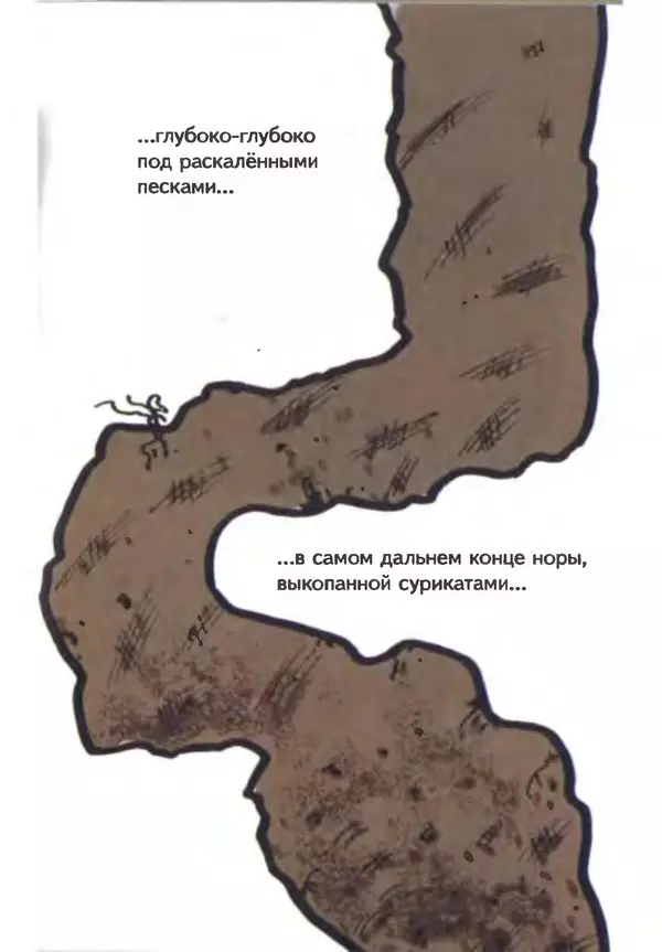 КулЛиб. Иан  Уайброу - Сурикаты-сумасброды. Невероятно смешные приключения в пустыне. Страница № 10