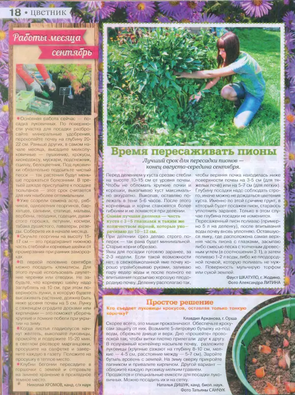 КулЛиб.   журнал Сваты на даче - Сваты на даче 2015 №8(08). Страница № 18