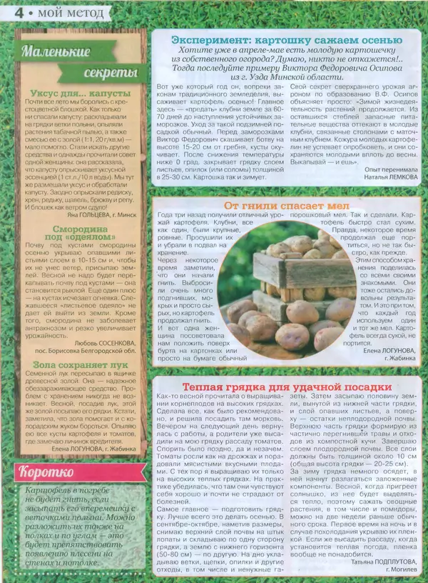КулЛиб.   журнал Сваты на даче - Сваты на даче 2015 №8(08). Страница № 4