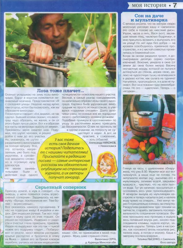 КулЛиб.   журнал Сваты на даче - Сваты на даче 2015 №8(08). Страница № 7