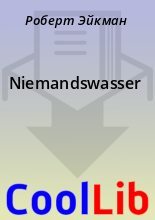 Книга - Роберт  Эйкман - Niemandswasser (fb2) читать без регистрации