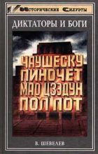 Книга - Владимир Николаевич Шевелев - Пирамида из двух миллионов черепов (fb2) читать без регистрации