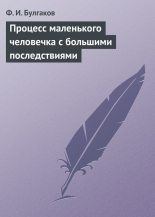 Книга - Федор Ильич Булгаков - Процесс маленького человечка с большими последствиями (fb2) читать без регистрации