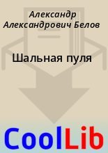 Книга - Александр Александрович Белов - Шальная пуля (fb2) читать без регистрации