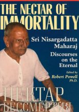 Книга - Нисаргадатта  Махарадж - Нектар бессмертия (fb2) читать без регистрации